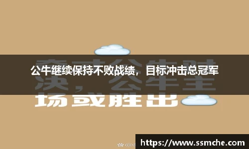公牛继续保持不败战绩，目标冲击总冠军