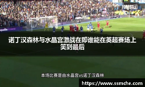 诺丁汉森林与水晶宫激战在即谁能在英超赛场上笑到最后